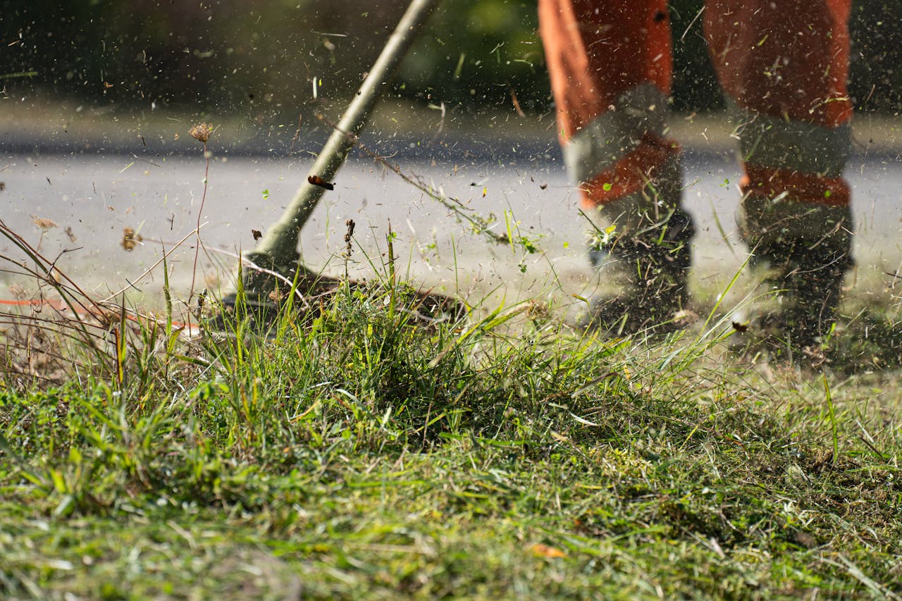 menu-05 Close-up of a grass cutter trimming green grass with flying clippings outdoors.