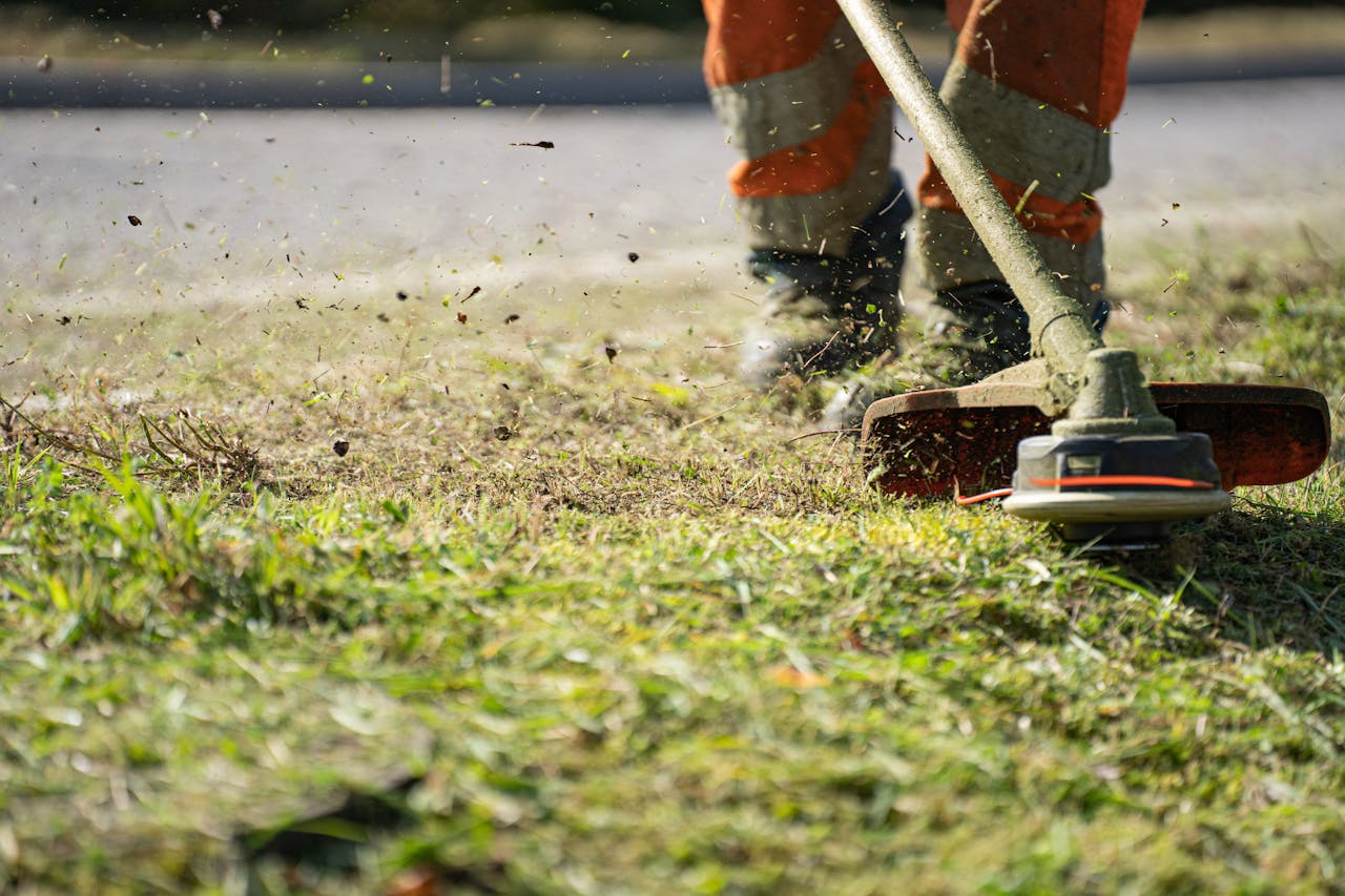 menu-04 Close-up of a grass trimmer cutting lawn with grass clippings flying.