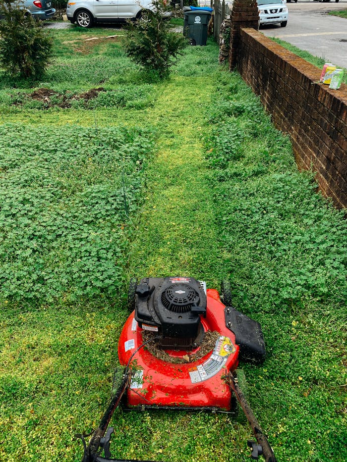 menu-09 Red lawn mower cutting grass in a green garden with visible cut path. Ideal for gardening themes.