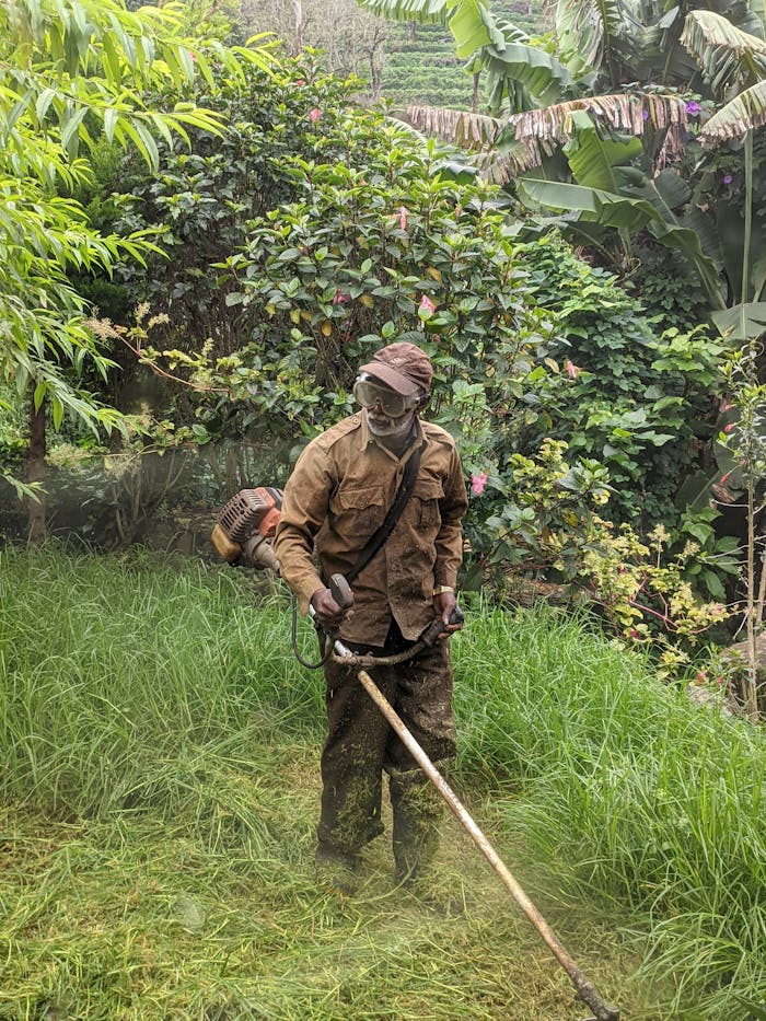 menu-02 A gardener using a grass trimmer in a lush, green garden surrounded by tropical plants.