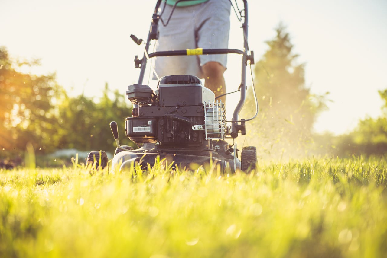 menu-03 Close-up of a person mowing a sunlit lawn with a push mower, showcasing summertime yard care.